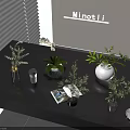 Aquatic Plants In Glass Vases For Modern Interior Tabletop Decoration