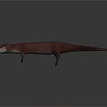 3D Rendering of Brown Otter with Realistic Features on Dark Background