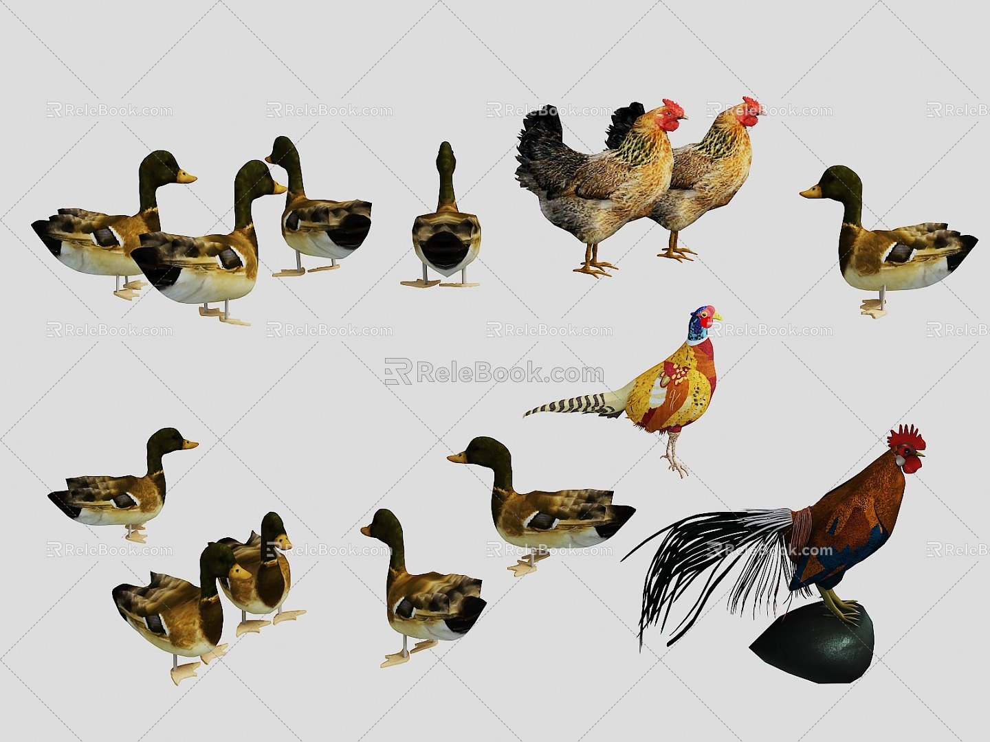 Home Farming Animal Poultry Animal Animal Bird Set Rooster Hen Duck Bird 3d model