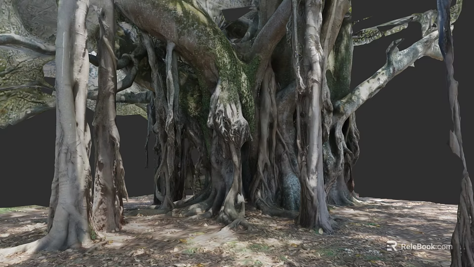 Large Arbor Featuring Thick Trunks Massive Roots And Moss Covered Surfaces 3d model