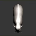 Gray Elephant Standing On Dark Surface With Long Ivory Tusks