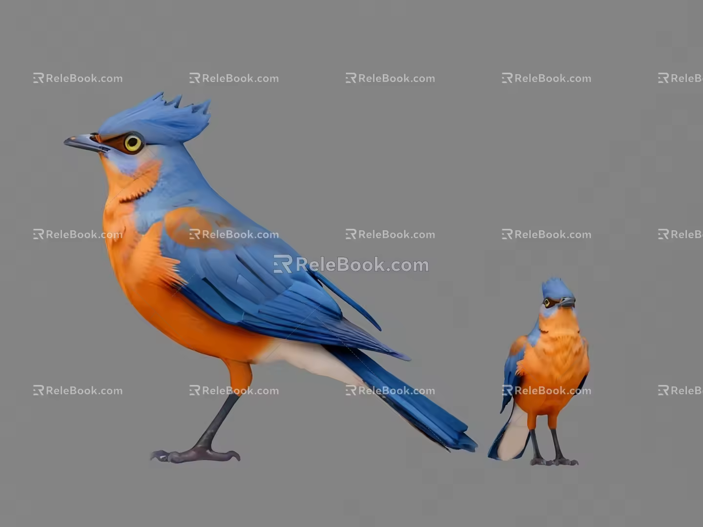 Birds 3d model