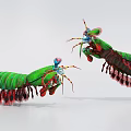 Vibrant Green Red Blue Mantis Shrimp With Long Antennae And Segmented Body
