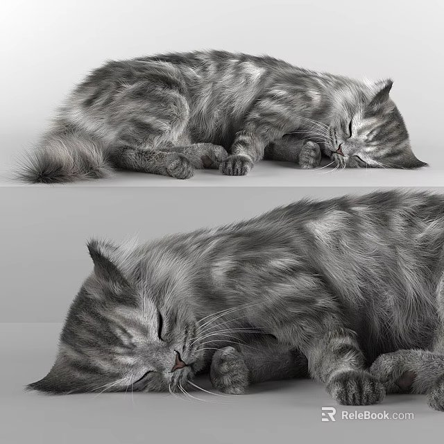 Gray Striped Cat Sleeping Peacefully Shown In Two Comfortable Positions 3d model 