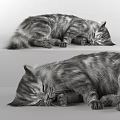 Gray Striped Cat Sleeping Peacefully Shown In Two Comfortable Positions 3d model