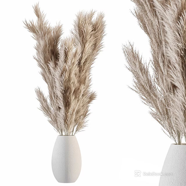 Stylish Two White Vases With Beige Pampas Grass On White Background 3d model 