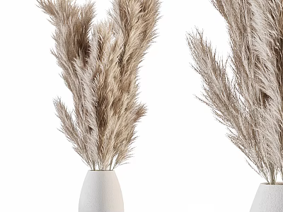 Stylish Two White Vases With Beige Pampas Grass On White Background 3d model