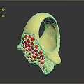 Elegant Golden Bracelet With Intricate Red Bead Decorations And Handcrafted Design
