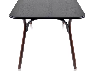 Dark Wood Dining Table With Curved Legs And Smooth Surface Modern Design Style 3d model