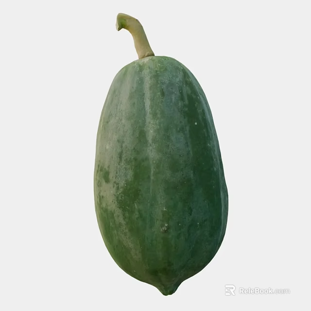Fresh Green Oval Winter Melon Fruit With Smooth Skin And Stem 3d model