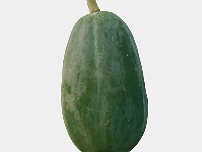 Fresh Green Oval Winter Melon Fruit With Smooth Skin And Stem 3d model