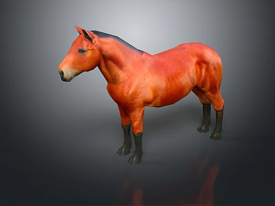 Red Horse Model With Black Mane And Legs On Dark Background 3d model