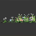 Colorful Decorative Plants With Various Flowers And Green Leaves In Different Pots