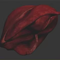 Abdominal Organ Human Liver Red Colored Anatomical Structure With Smooth Surface Isolated On Black Background