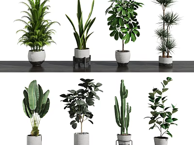 Various Indoor Potted Plants With Decorative Pots And Greenery For Home Decor 3d model