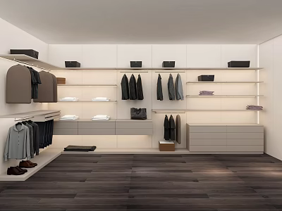 Modern Walk in Closet Interior With Hanging Garments Shelves Drawers And Organized Storage 3d model
