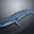 Blue Whale 3D Model With Spotted Blue Skin And Open Mouth On Gray Background