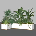 Indoor Plant Combination In White L Shaped Planter With Tropical Green Leaves