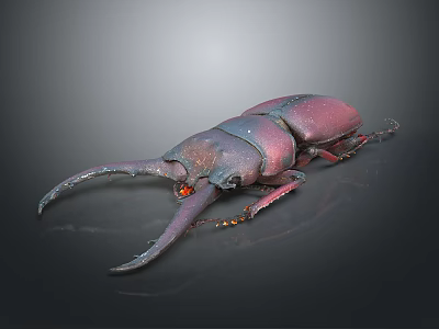 Reddish Purple Stag Beetle With Large Shiny Pincers On Dark Background 3d model