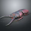 Reddish Purple Stag Beetle With Large Shiny Pincers On Dark Background
