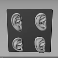 Highly Detailed Human Ear Organ Models Arranged on Gray Square Block
