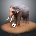 Large Elephant Playing With Black and White Soccer Ball on Sandy Ground Surface
