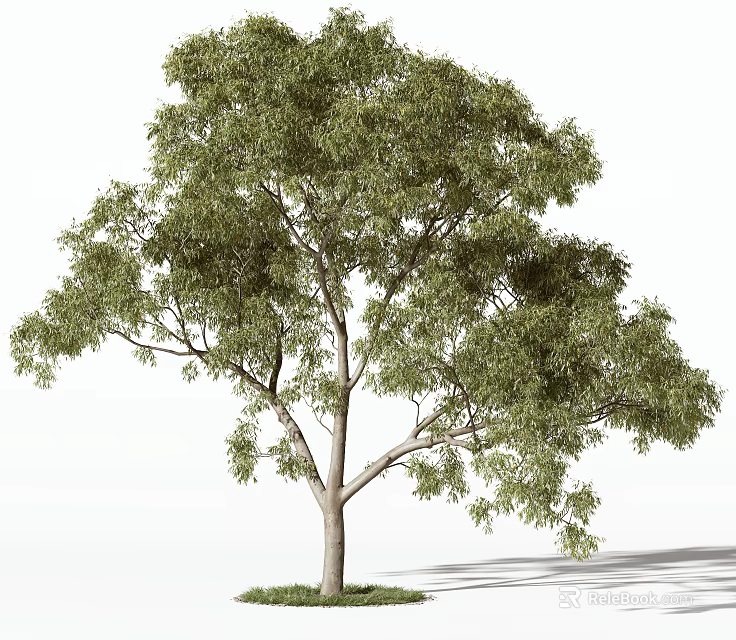 Tall Green Arbor With Lush Foliage Strong Trunk And Natural Shadow 3d model 