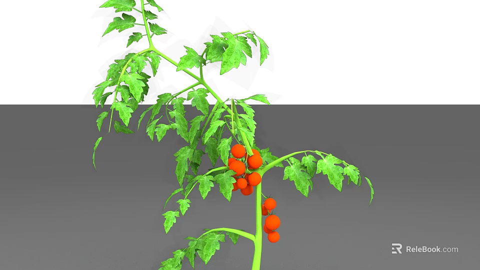 Lush Green Arbor With Dense Foliage Red Fruits And Strong Branches 3d model 