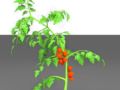 Lush Green Arbor With Dense Foliage Red Fruits And Strong Branches 3d model