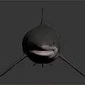 Realistic Green And Gray Shark Full Body Model On Gray Background 3d model