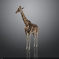 Realistic 3D Rendered Giraffe With Brown White Spots Standing On Dark Background