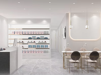 Modern Style Beauty Hair Salon Interior With Reception Desk Product Shelves And Styling Chairs 3d model