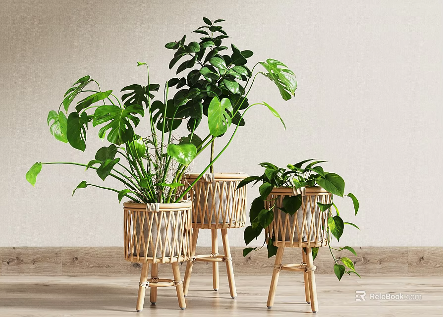 Potted Green Plants in Bamboo Woven Planters Indoor Decor with Light Wall Wooden Floor 3d model 