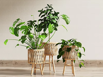 Potted Green Plants in Bamboo Woven Planters Indoor Decor with Light Wall Wooden Floor 3d model