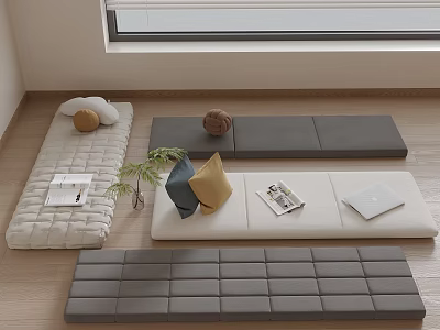 Decorative Ornament Combinations with Cushions Pillows Potted Plant Magazine and Laptop in Living Area 3d model