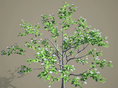 Lush Arbor With Green Leaves And White Small Flowers On Branches 3d model