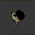 Realistic Owl With Spread Wings Standing On Dark Background And Detailed Feathers