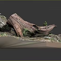 Natural Wooden Log Sculpture on Stone Base with Moss and Small Plants