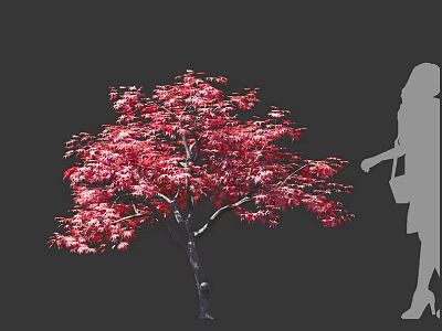 Vibrant Red Leaf Arbor with Lush Canopy and Female Silhouette Nearby 3d model
