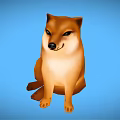 Adorable Shiba Inu Sitting On Blue Background With Friendly Expression And Calm Posture