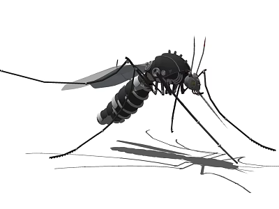 Detailed 3D Model of Black Mosquito Flying Insect with Long Legs and Shadow 3d model