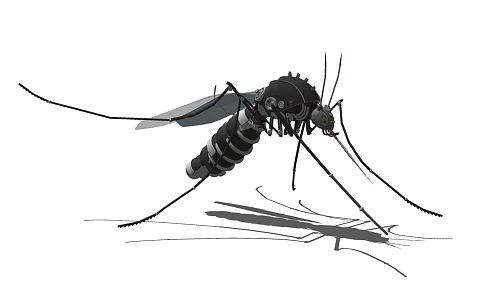 Modern Mosquito Animals 3d model