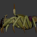 Adventurous Crab Character With Backpack And Wooden Chest Adventure Gear
