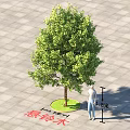 Lush Plane Tree Arbor Featuring Square Pavement Tiles And Human Figure For Scale 3d model