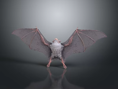 Bat With Spread Wings Furry Body And Gray Wings On Gray Background With Reflection 3d model