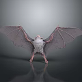 Bat With Spread Wings Furry Body And Gray Wings On Gray Background With Reflection