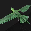 Green Parrot Displaying Spread Wings Against Black Background In Flight
