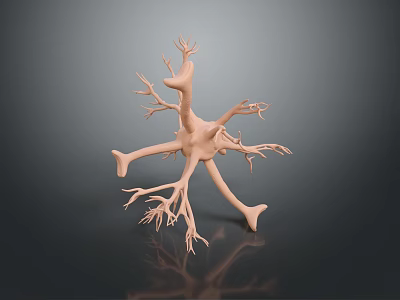 Highly Detailed 3D Rendered Medical Anatomical Neuron Model For Educational Training 3d model