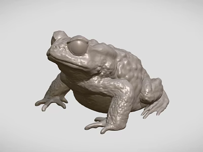 Gray Frog Sculpture 3D Model With Textured Surface And Lifelike Pose 3d model