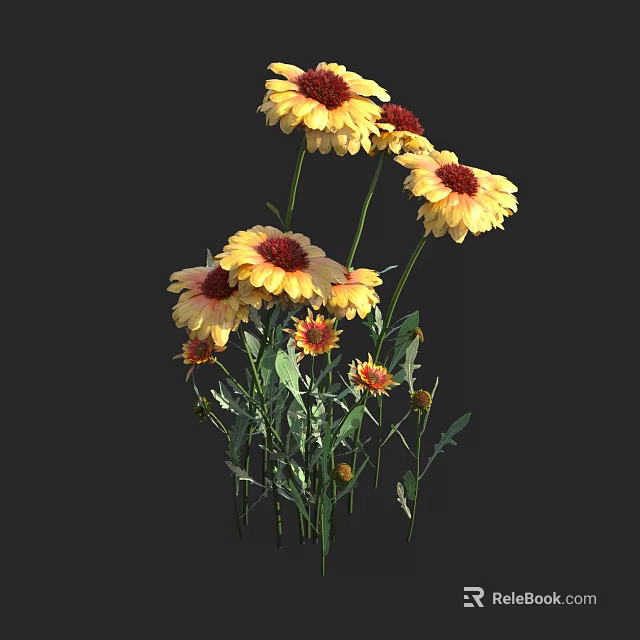Yellow and Red Blooming Flowers with Green Stems and Leaves 3d model 